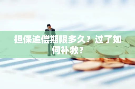 上海担保追偿期限多久?过了如何补救?